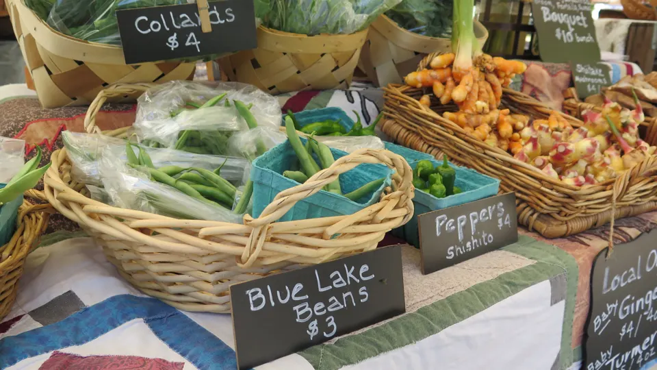 Green Market at Piedmont Park (image from organizer)