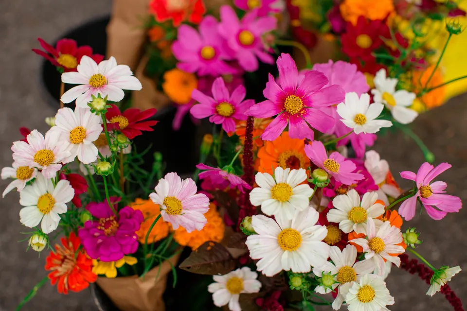 Oakhurst Farmers Market (CFM) (image from organizer)