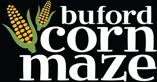 Buford Corn Maze (image from organizer)